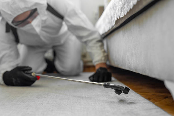 Professional Bed Bug Control technician working in Ocean City, MD