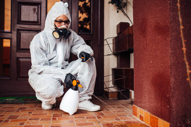 Reliable Bed Bug Control contractor in Ocean City, MD by Nex Pest Control