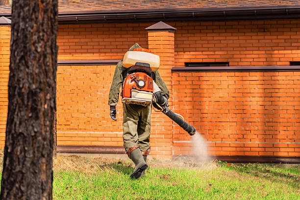 Trusted Bed Bug Control service in Ocean City, MD - Nex Pest Control